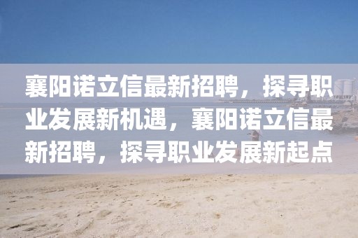 襄陽諾立信最新招聘，探尋職業發展新機遇，襄陽諾立信最新招聘，探尋職業發展新起點