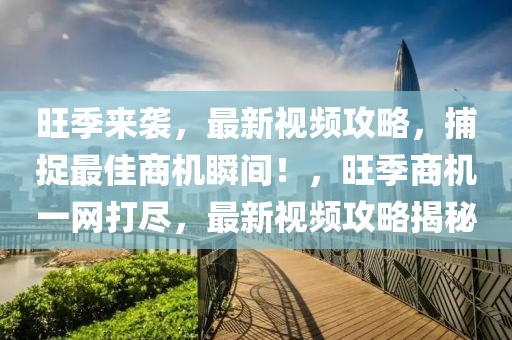 旺季來襲，最新視頻攻略，捕捉最佳商機瞬間！，旺季商機一網打盡，最新視頻攻略揭秘