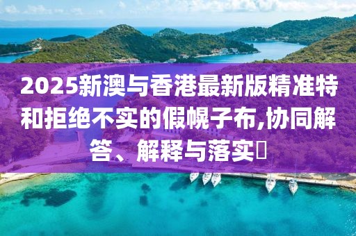 2025新澳與香港最新版精準特和拒絕不實的假幌子布,協同解答、解釋與落實?