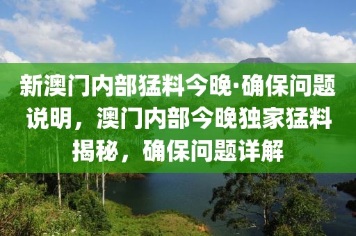 新澳門內部猛料今晚·確保問題說明，澳門內部今晚獨家猛料揭秘，確保問題詳解