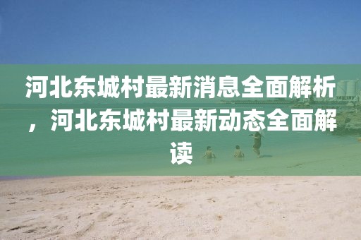河北東城村最新消息全面解析，河北東城村最新動態全面解讀