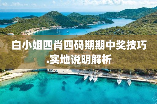 白小姐四肖四碼期期中獎技巧.實地說明解析