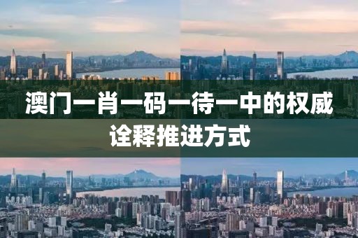 澳門一肖一碼一待一中的權(quán)威詮釋推進(jìn)方式