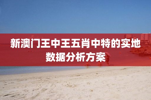新澳門王中王五肖中特的實地數據分析方案
