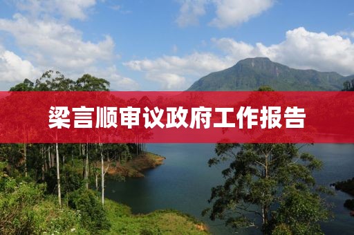 梁言順審議政府工作報(bào)告
