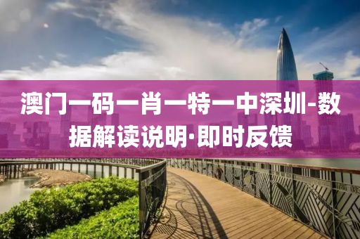 澳門一碼一肖一特一中深圳-數據解讀說明·即時反饋