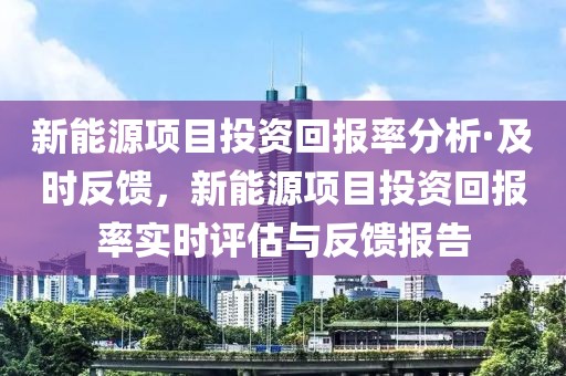新能源項目投資回報率分析·及時反饋，新能源項目投資回報率實時評估與反饋報告