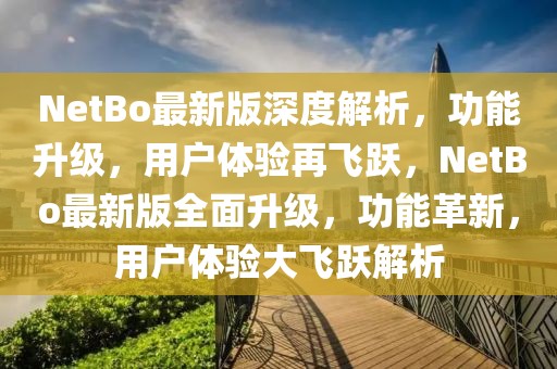 NetBo最新版深度解析，功能升級，用戶體驗再飛躍，NetBo最新版全面升級，功能革新，用戶體驗大飛躍解析