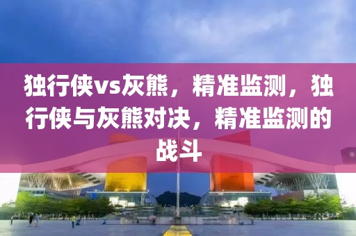 獨行俠vs灰熊，精準監測，獨行俠與灰熊對決，精準監測的戰斗