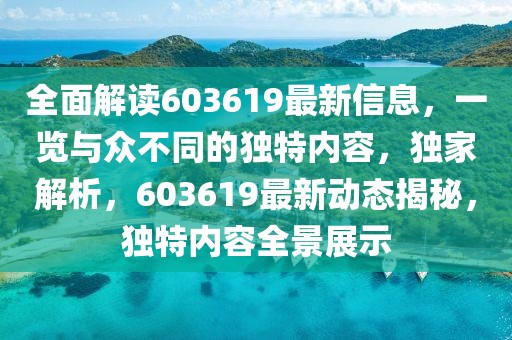 全面解讀603619最新信息，一覽與眾不同的獨特內容，獨家解析，603619最新動態揭秘，獨特內容全景展示