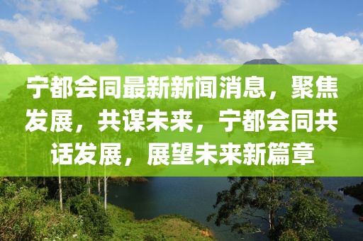 寧都會同最新新聞消息，聚焦發展，共謀未來，寧都會同共話發展，展望未來新篇章