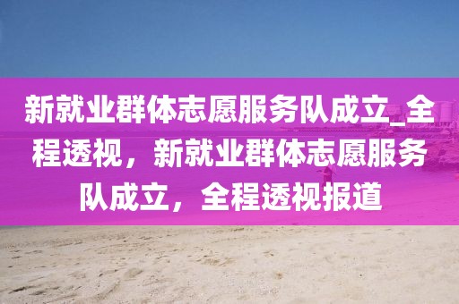 新就業(yè)群體志愿服務(wù)隊(duì)成立_全程透視，新就業(yè)群體志愿服務(wù)隊(duì)成立，全程透視報(bào)道