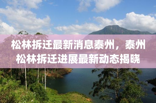 松林拆遷最新消息泰州，泰州松林拆遷進展最新動態揭曉