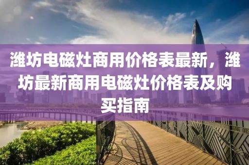 濰坊電磁灶商用價格表最新，濰坊最新商用電磁灶價格表及購買指南