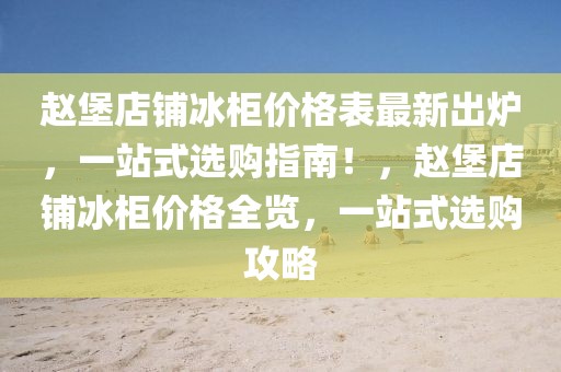 趙堡店鋪冰柜價格表最新出爐，一站式選購指南！，趙堡店鋪冰柜價格全覽，一站式選購攻略