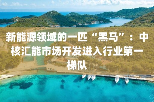 新能源領(lǐng)域的一匹“黑馬”：中核匯能市場開發(fā)進入行業(yè)第一梯隊