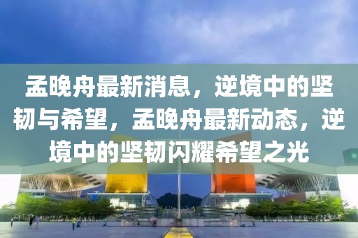 孟晚舟最新消息，逆境中的堅韌與希望，孟晚舟最新動態，逆境中的堅韌閃耀希望之光