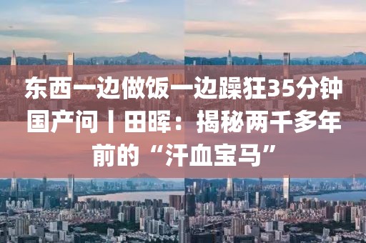 東西一邊做飯一邊躁狂35分鐘國產問丨田暉：揭秘兩千多年前的“汗血寶馬”