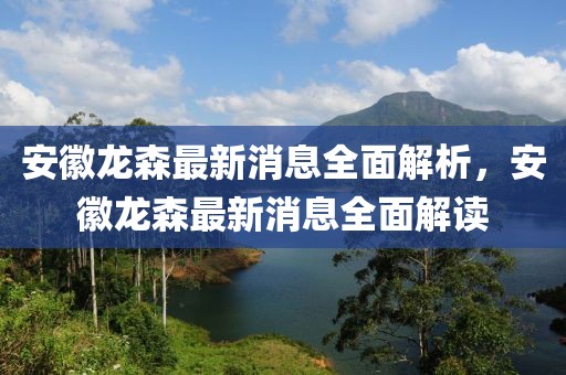 安徽龍森最新消息全面解析，安徽龍森最新消息全面解讀