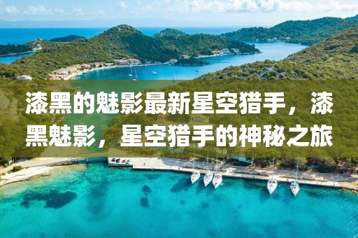 漆黑的魅影最新星空獵手，漆黑魅影，星空獵手的神秘之旅