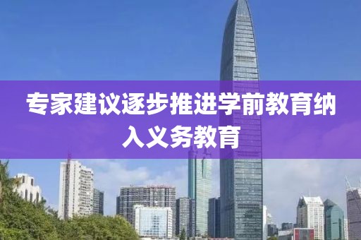 專家建議逐步推進(jìn)學(xué)前教育納入義務(wù)教育