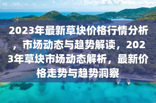 2023年最新草塊價格行情分析，市場動態(tài)與趨勢解讀，2023年草塊市場動態(tài)解析，最新價格走勢與趨勢洞察
