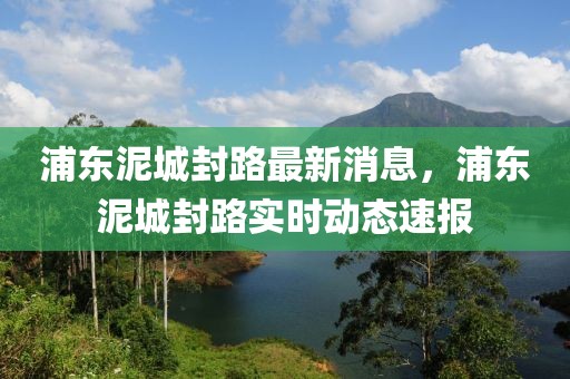 浦東泥城封路最新消息，浦東泥城封路實(shí)時(shí)動(dòng)態(tài)速報(bào)