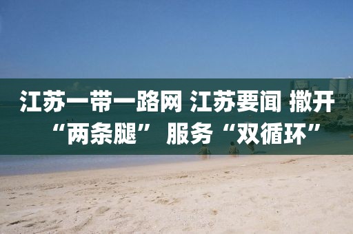 江蘇一帶一路網 江蘇要聞 撒開“兩條腿” 服務“雙循環”