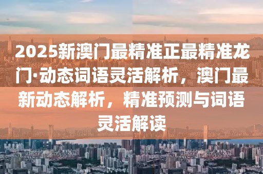 2025新澳門最精準正最精準龍門·動態詞語靈活解析，澳門最新動態解析，精準預測與詞語靈活解讀