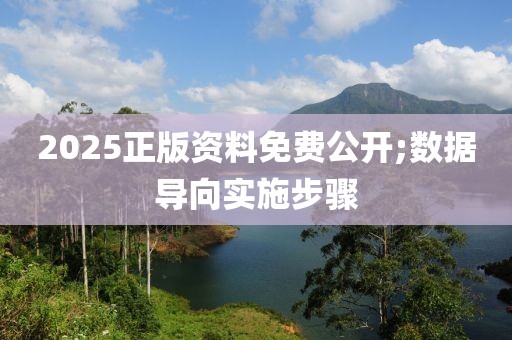 2025正版資料免費公開;數據導向實施步驟