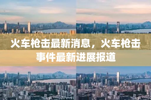 火車槍擊最新消息，火車槍擊事件最新進展報道