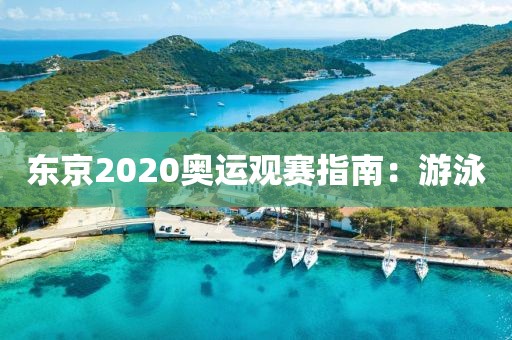 東京2020奧運(yùn)觀賽指南：游泳