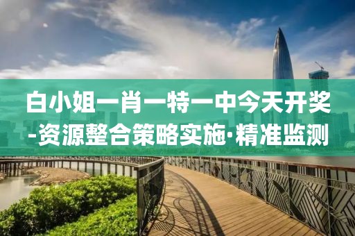 白小姐一肖一特一中今天開獎-資源整合策略實施·精準監(jiān)測