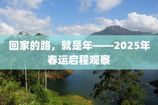 回家的路，就是年——2025年春運啟程觀察