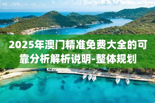 2025年澳門精準免費大全的可靠分析解析說明-整體規劃