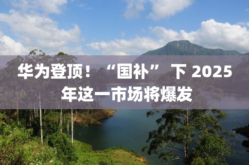 華為登頂！“國補” 下 2025 年這一市場將爆發