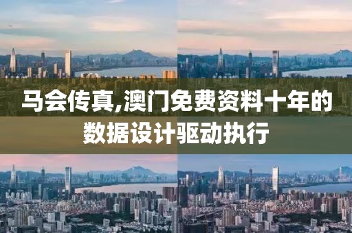 馬會傳真,澳門免費資料十年的數據設計驅動執行