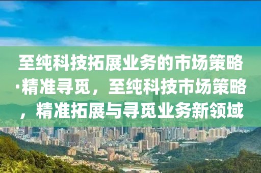 至純科技拓展業(yè)務(wù)的市場(chǎng)策略·精準(zhǔn)尋覓，至純科技市場(chǎng)策略，精準(zhǔn)拓展與尋覓業(yè)務(wù)新領(lǐng)域