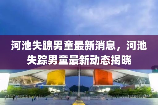 河池失蹤男童最新消息，河池失蹤男童最新動態揭曉