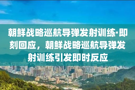 朝鮮戰略巡航導彈發射訓練·即刻回應，朝鮮戰略巡航導彈發射訓練引發即時反應
