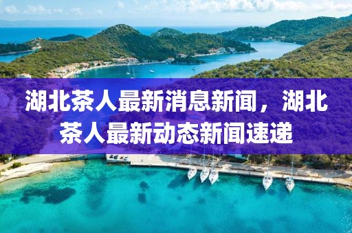 湖北茶人最新消息新聞，湖北茶人最新動態新聞速遞