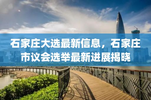 石家莊大選最新信息，石家莊市議會選舉最新進展揭曉
