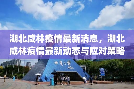湖北咸林疫情最新消息，湖北咸林疫情最新動態與應對策略
