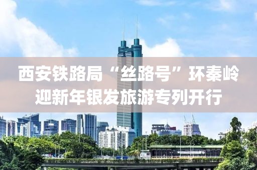 西安鐵路局“絲路號”環秦嶺迎新年銀發旅游專列開行