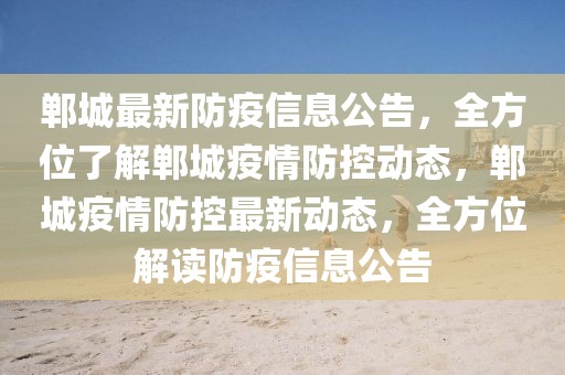 鄲城最新防疫信息公告，全方位了解鄲城疫情防控動態，鄲城疫情防控最新動態，全方位解讀防疫信息公告