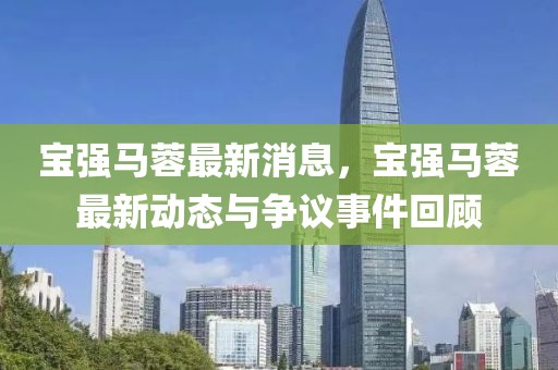 寶強馬蓉最新消息，寶強馬蓉最新動態與爭議事件回顧