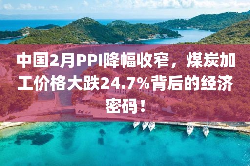 中國(guó)2月PPI降幅收窄，煤炭加工價(jià)格大跌24.7%背后的經(jīng)濟(jì)密碼！