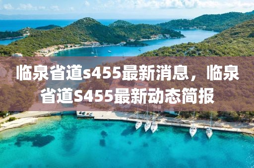 臨泉省道s455最新消息，臨泉省道S455最新動態簡報