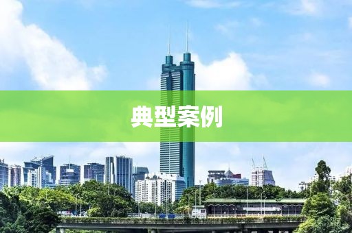 典型案例
