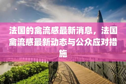 法國的禽流感最新消息，法國禽流感最新動態與公眾應對措施